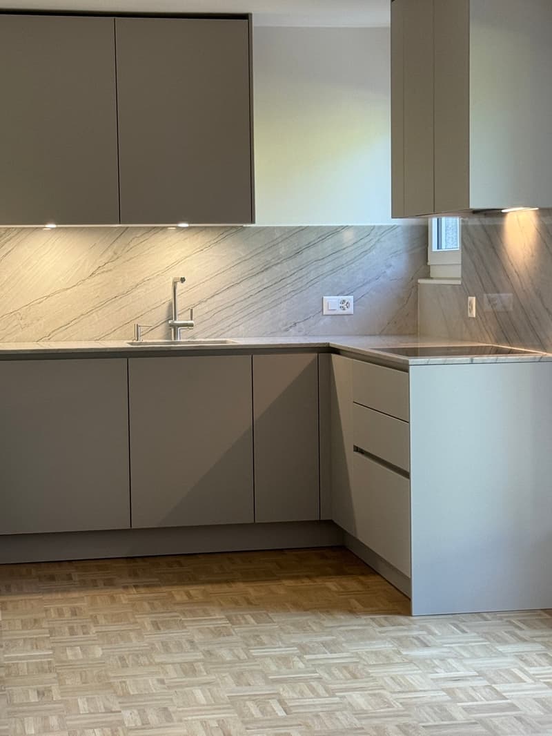 Magnifique appartement de 5.5 pièces avec un jardin privatif (4)