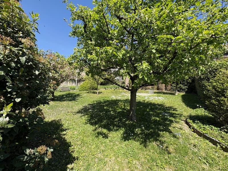 Magnifique appartement de 5.5 pièces avec un jardin privatif (10)