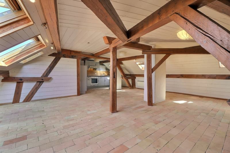 Loft of 95 m2 in the center of Montreux (2)