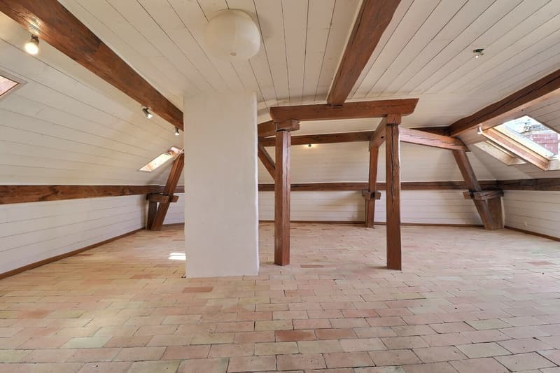 Loft of 95 m2 in the center of Montreux (5)