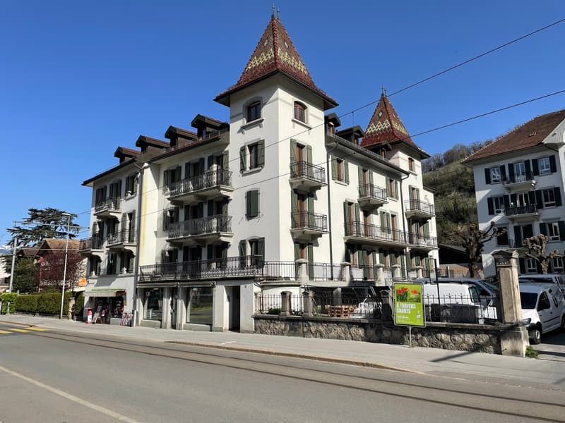 3,5 Zimmer mit Charme, 2 Schritte vom Stadtzentrum entfernt (8)