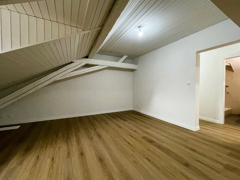3,5 Zimmer mit Charme, 2 Schritte vom Stadtzentrum entfernt (4)