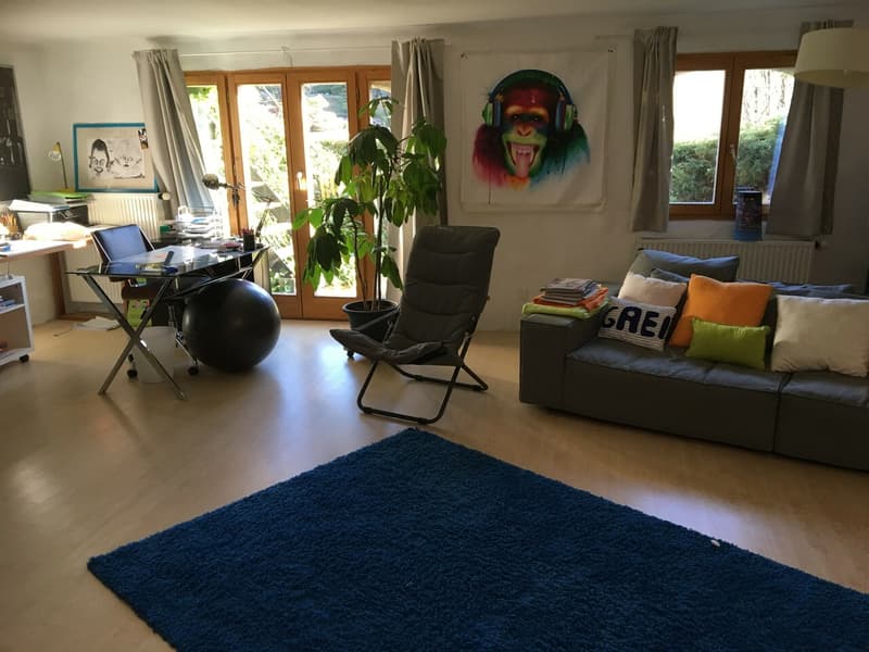 5.5 room duplex apartment with terrace in Jongny (4)