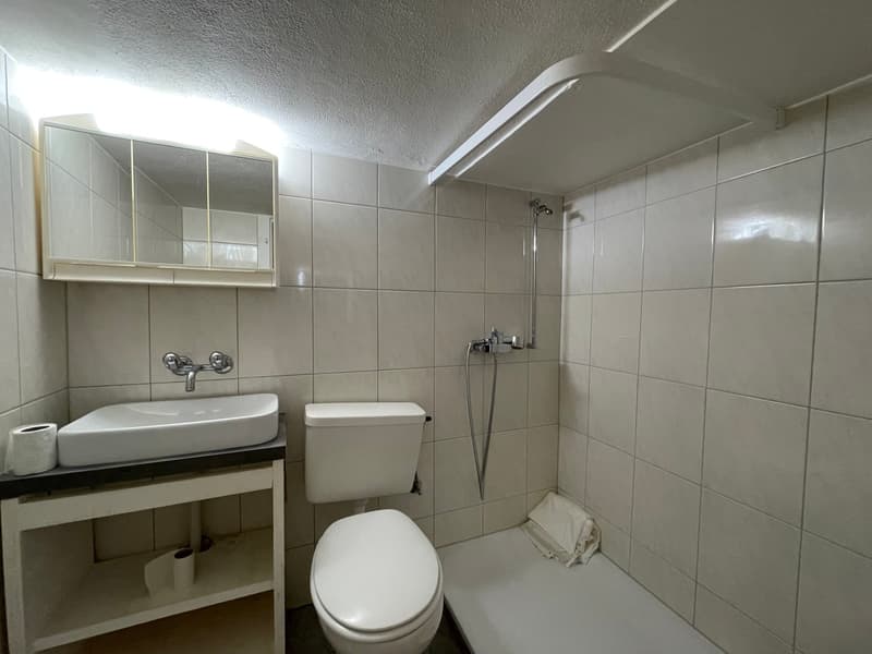 Appartamento duplex di 2,5 locali con piccola terrazza (4)