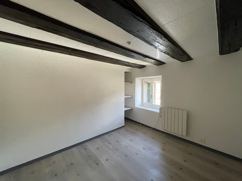 Appartamento duplex di 2,5 locali con piccola terrazza (2)