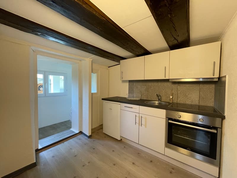 Appartamento duplex di 2,5 locali con piccola terrazza (1)