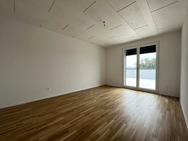 Meraviglioso appartamento di 4.5 locali recente con terrazza a Romanel-sur-Lausanne (7)