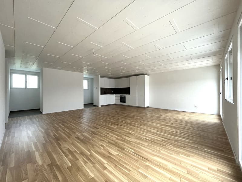 Meraviglioso appartamento di 4.5 locali recente con terrazza a Romanel-sur-Lausanne (2)