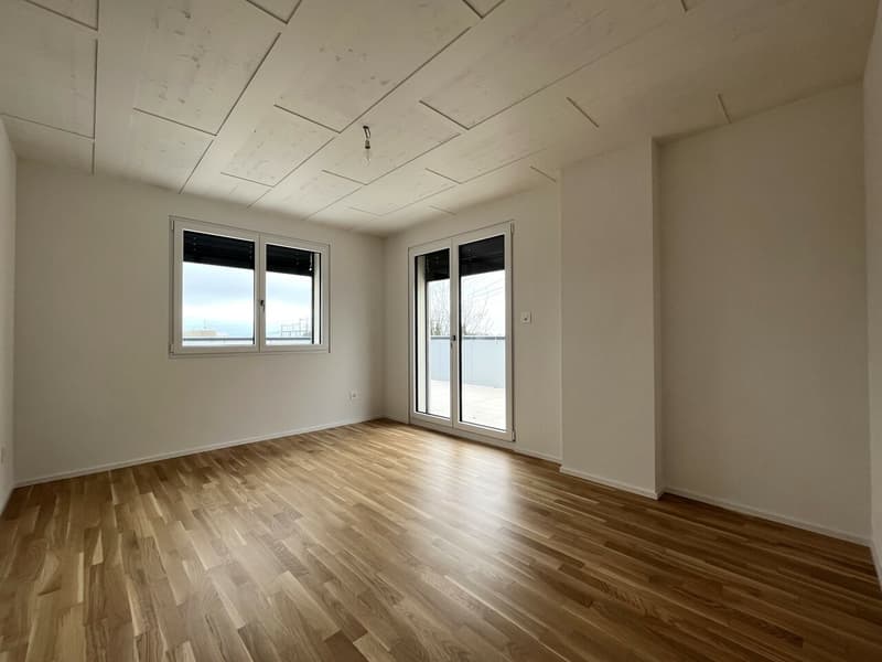 Meraviglioso appartamento di 4.5 locali recente con terrazza a Romanel-sur-Lausanne (6)