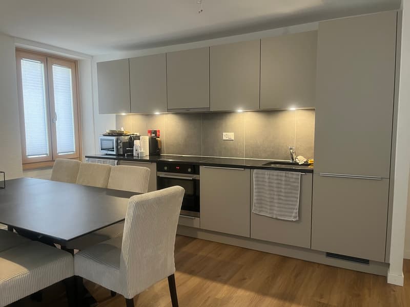 3.5 pces à 2 pas du centre ville (3)