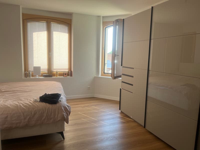 3.5 pces à 2 pas du centre ville (1)
