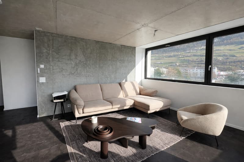 Modern furnished 3.5-room apartment on the 2nd floor (2)
