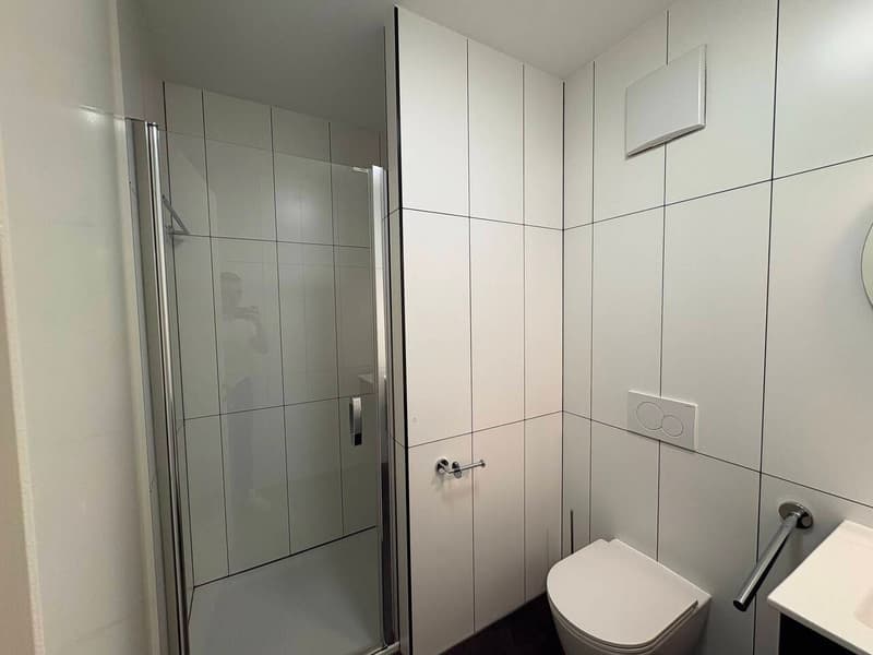 Uffici / cabinet moderno di 3.5 locali al 4° piano (5)