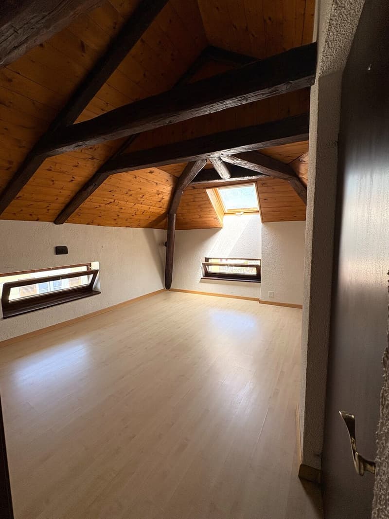 3,0 pezzi di 55 m2 in duplex (3)