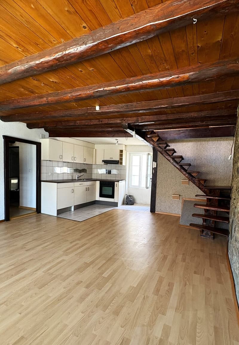 3,0 pezzi di 55 m2 in duplex (2)