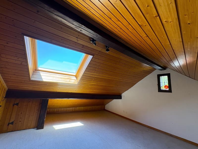 3,0 pezzi di 55 m2 in duplex (4)