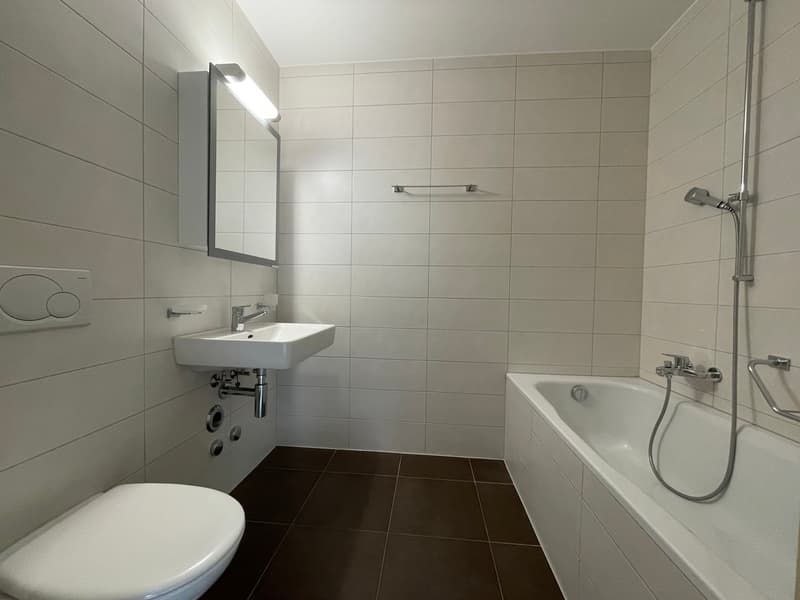 Schönes 2.5-Zimmer-Apartment (3)