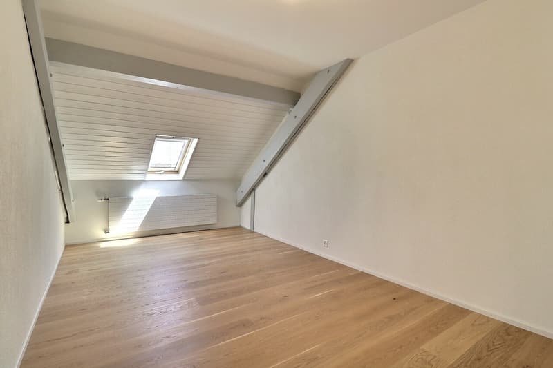 Bell'appartamento di 3.5 locali completamente ristrutturato nel centro città (6)