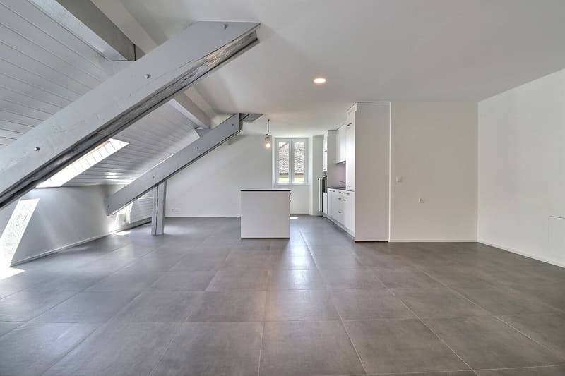 Bell'appartamento di 3.5 locali completamente ristrutturato nel centro città (1)