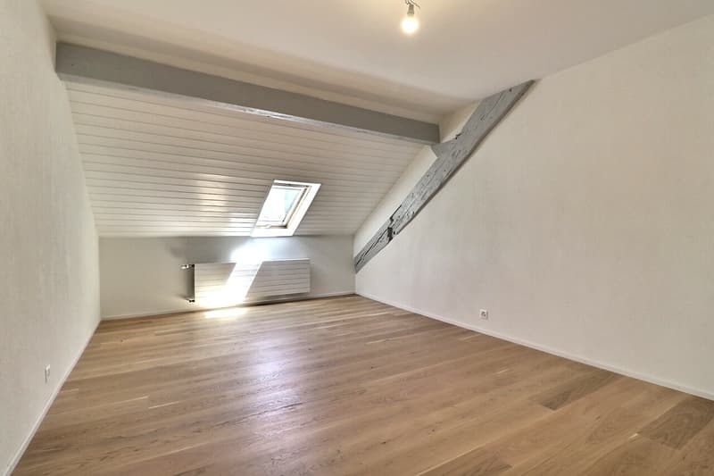 Schönes 3.5-Zimmer-Wohnung komplett renoviert im Stadtzentrum (8)