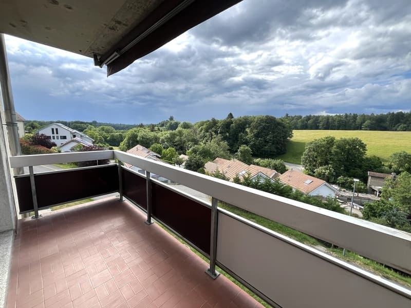 Large studio with balcony in Saubraz (4)