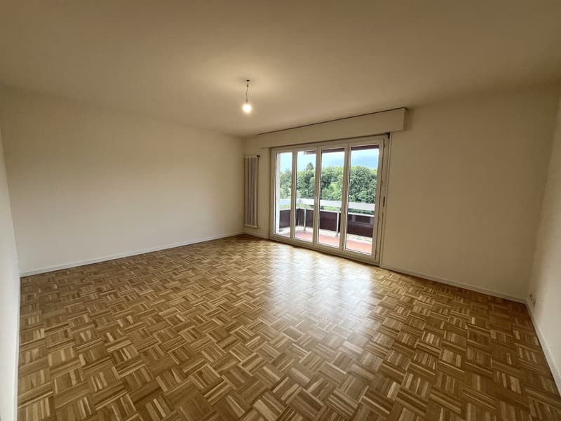 Large studio with balcony in Saubraz (2)