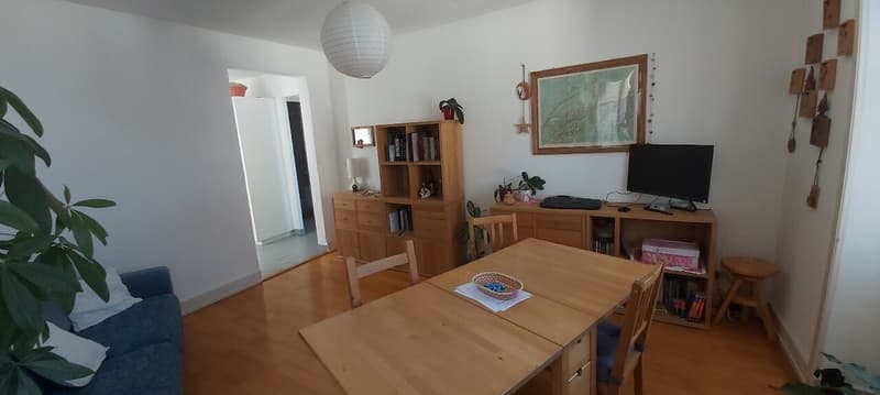 Helles 2.5-Zimmer-Wohnung in Territet zu vermieten (3)