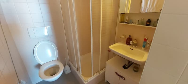 Helles 2.5-Zimmer-Wohnung in Territet zu vermieten (6)