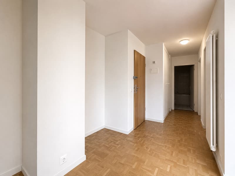 Geräumiges und helles 2.5-Zimmer-Apartment zur Miete (3)