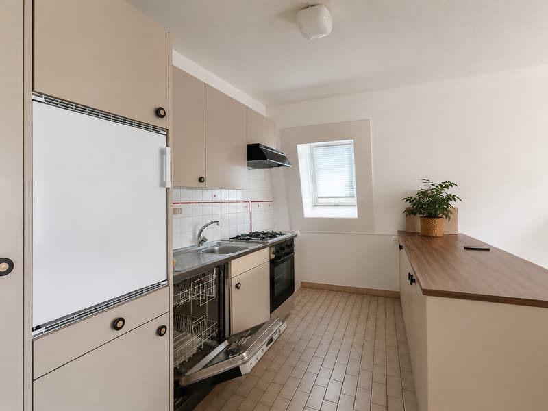 Geräumiges und helles 2.5-Zimmer-Apartment zur Miete (2)