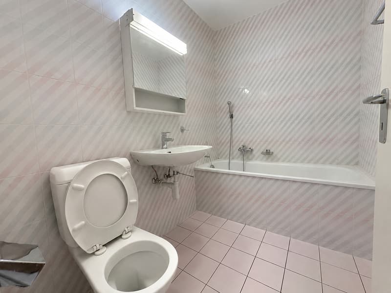 Geräumiges und helles 2.5-Zimmer-Apartment zur Miete (4)