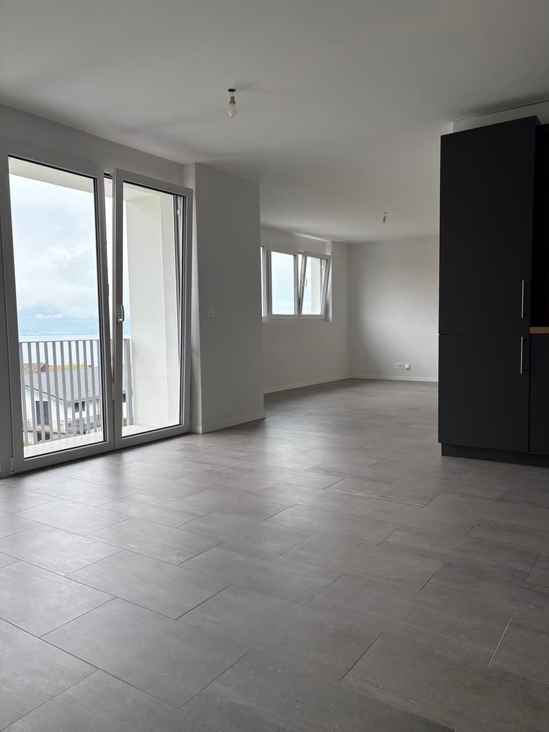 Beautiful 2.5-room apartment for rent (2)