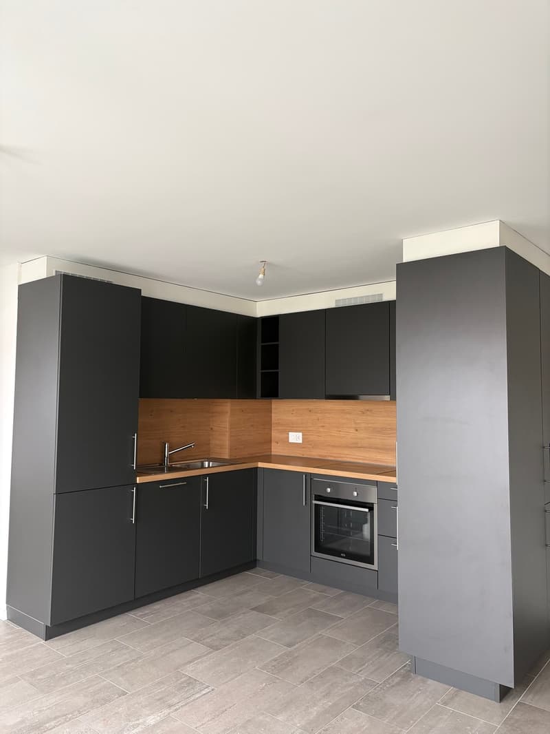 Beautiful 2.5-room apartment for rent (3)