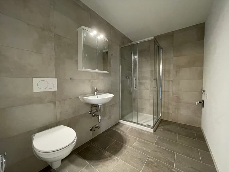 Beautiful 2.5-room apartment for rent (5)