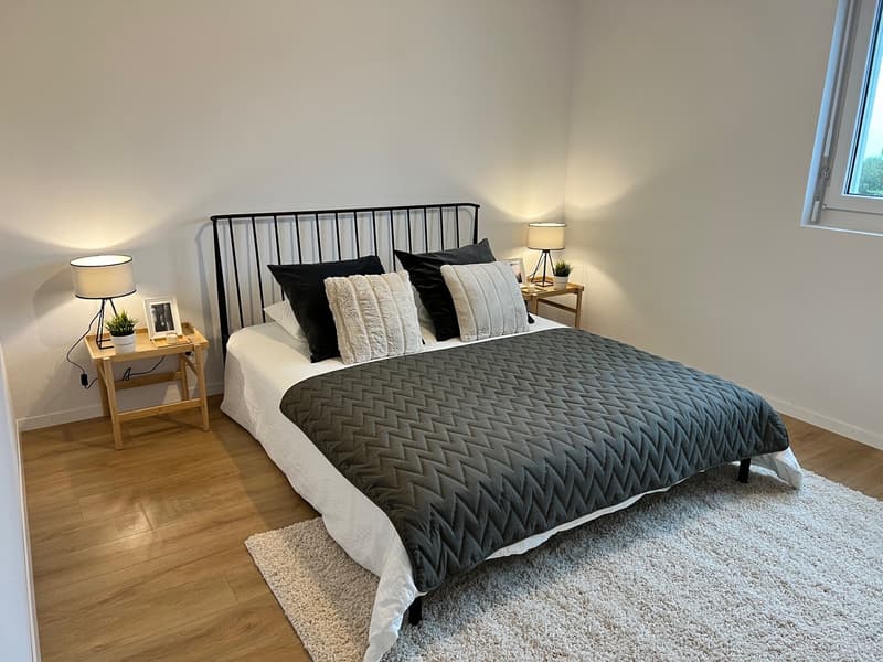 Schönes 3.0 Zimmer zur Miete (4)