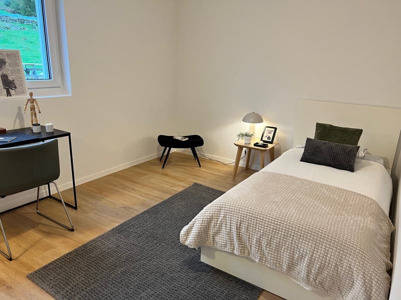 Schönes 3.0 Zimmer zur Miete (5)