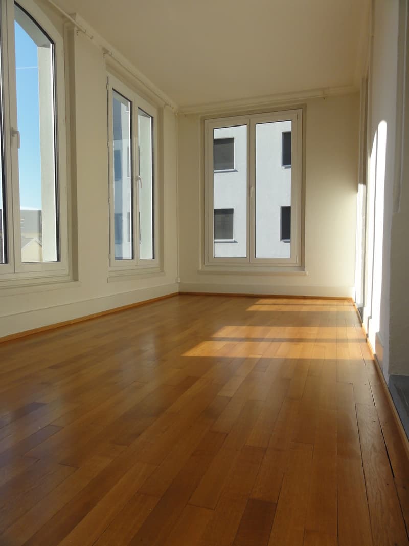 5.5 rooms of 112 m2 with character (3)