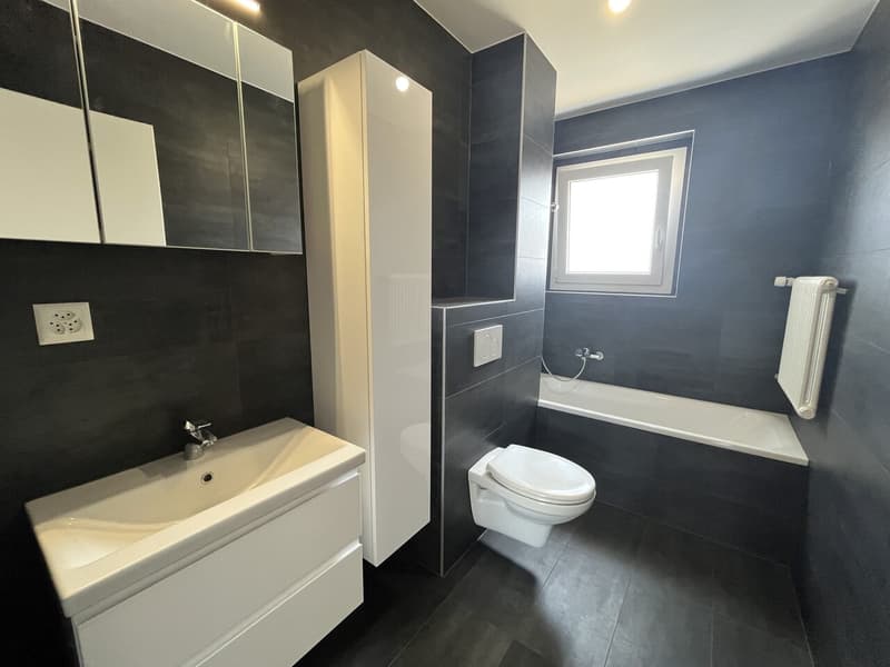 Schönes 3.5-Zimmer-Apartment mit Balkon in Payerne (6)