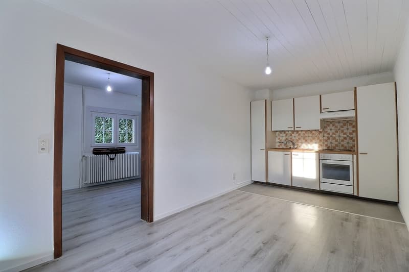 For rent immediately - small house (4)