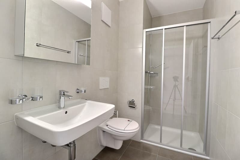 Prächtige 4.5-Zimmer-Wohnung mit 96 m2 und großem Balkon (3)