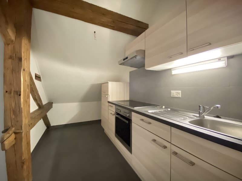 Großes Studio mit separater Küche - Cugy (VD) (6)