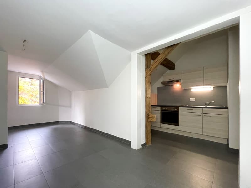 Großes Studio mit separater Küche - Cugy (VD) (3)