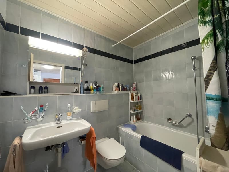Spacieux appartement 3.5 pièces avec balcon (7)