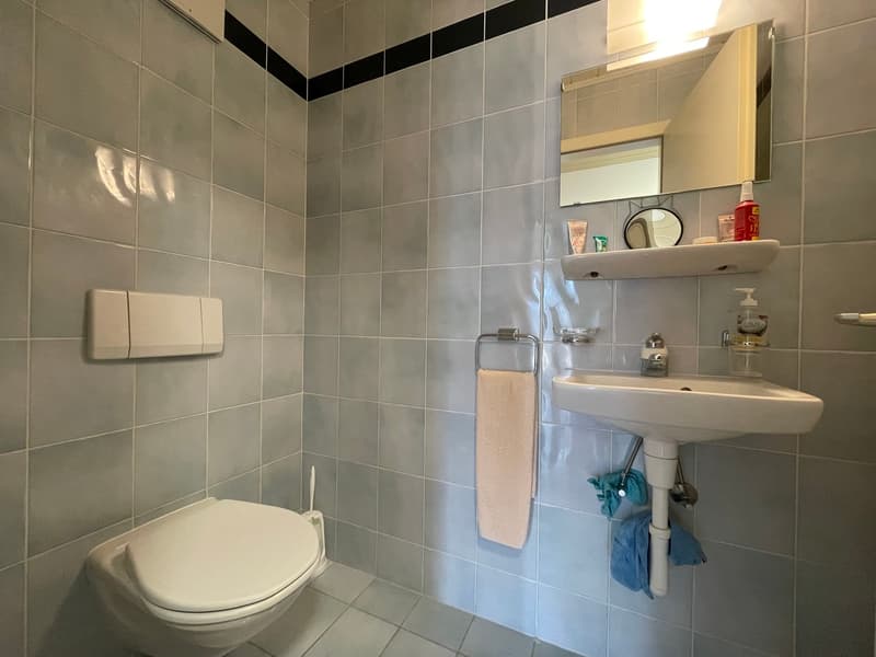 Spacieux appartement 3.5 pièces avec balcon (8)