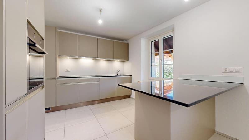 une cuisine moderne dans un appartement / a modern kitchen in an apartment