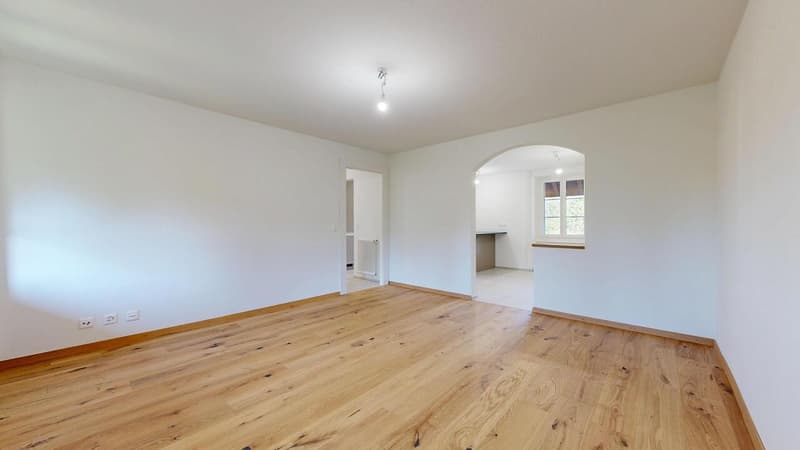 une grande pièce vide aux murs blancs et au parquet / a large empty room with white walls and wood floors