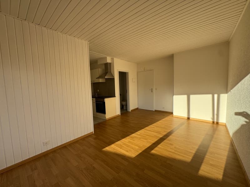 Lumineux studio partiellement rénové (2)