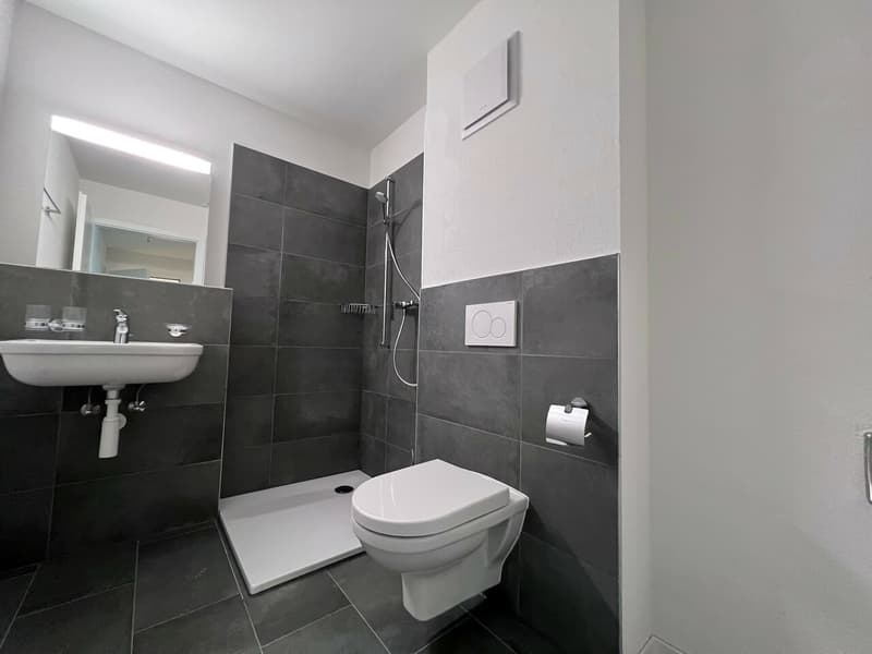 Magnifique et lumineux studio avec balcon (2)