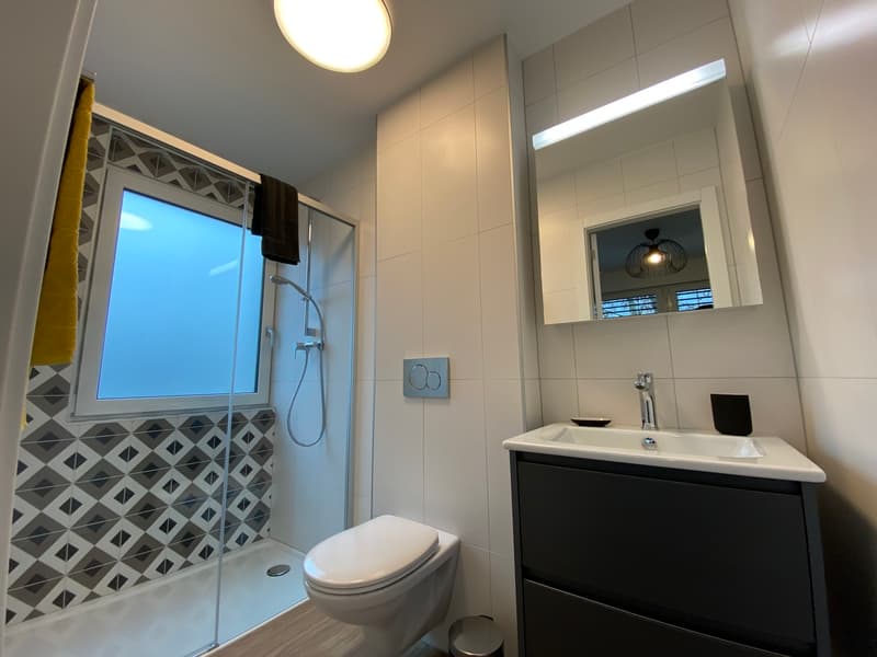 Joli studio meublé à deux pas de la gare (4)
