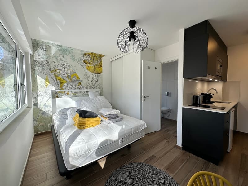 Joli studio meublé à deux pas de la gare (1)